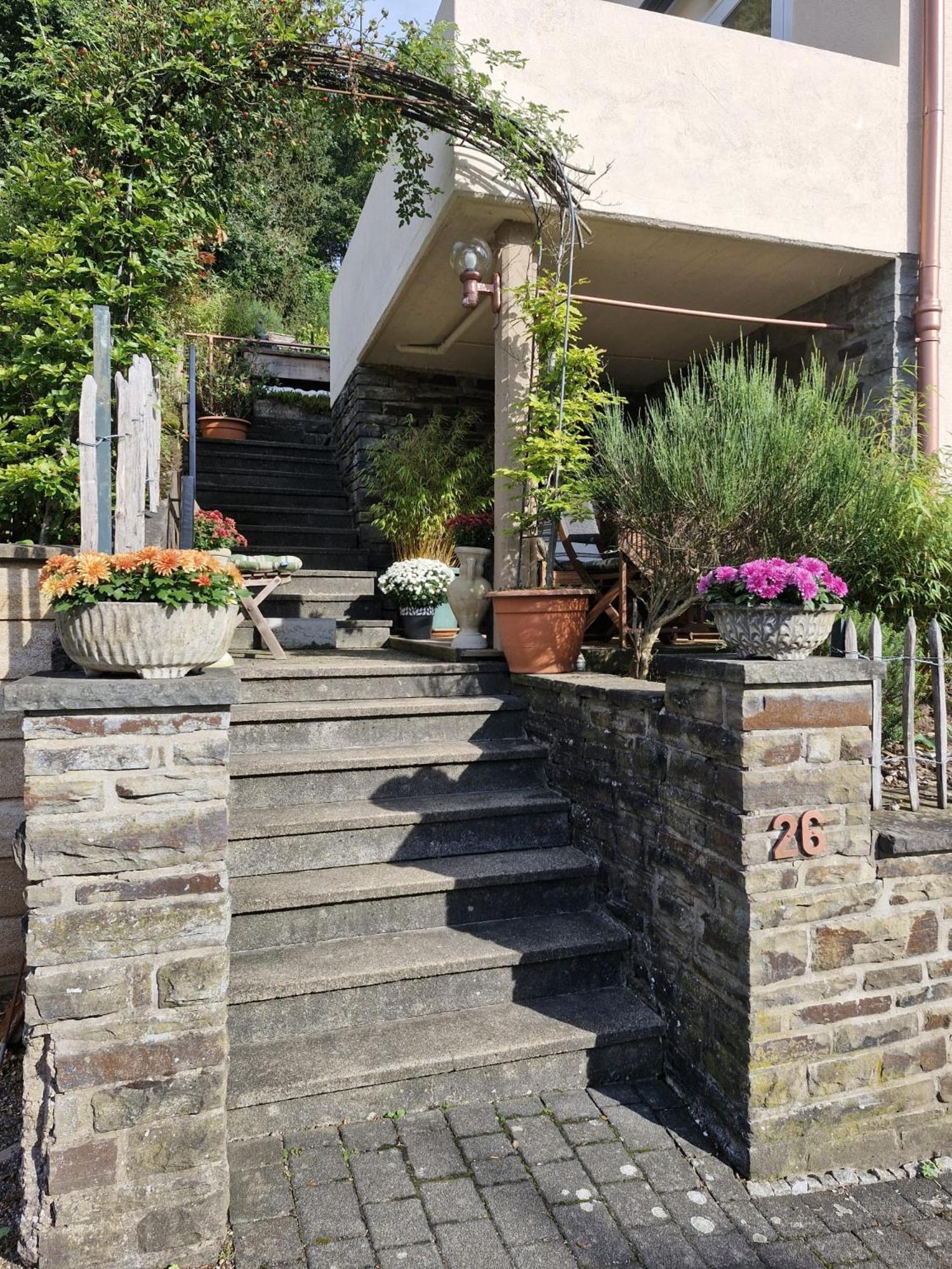 Appartamento Alter Werkstatt Junkerath Esterno foto